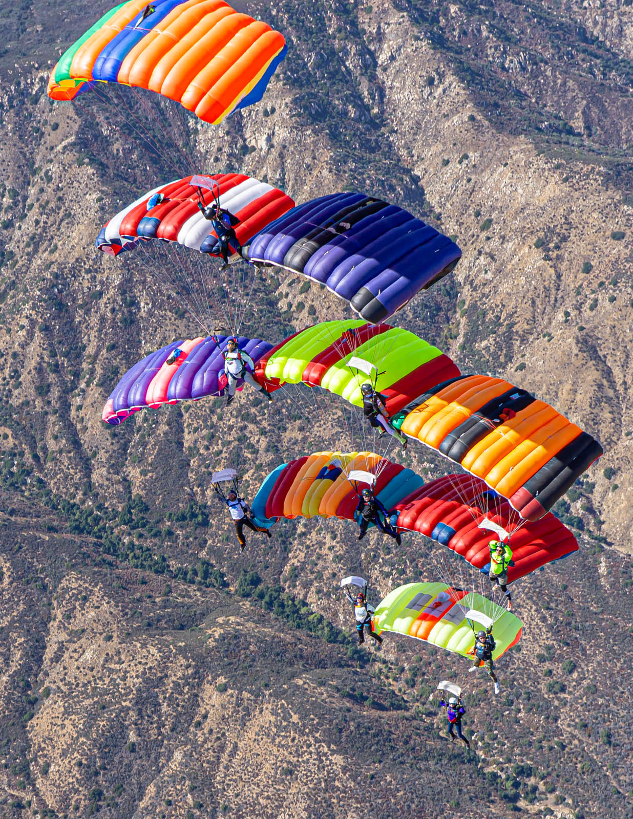 Canopy Formation Skydivers Fall from Planes