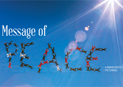 Message Of Peace—A Parachutist Pictorial
