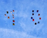 Photo by Dan Dupuis.